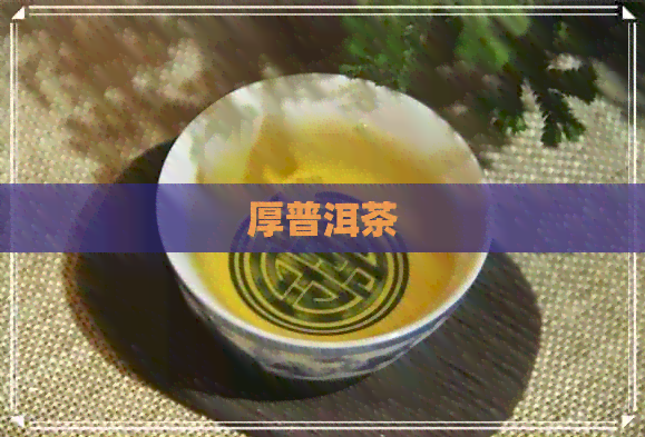 厚普洱茶