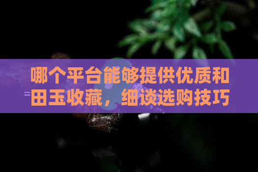 哪个平台能够提供优质和田玉收藏，细谈选购技巧与建议