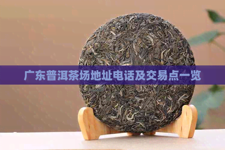 广东普洱茶场地址电话及交易点一览