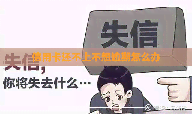 信用卡还不上不想逾期怎么办