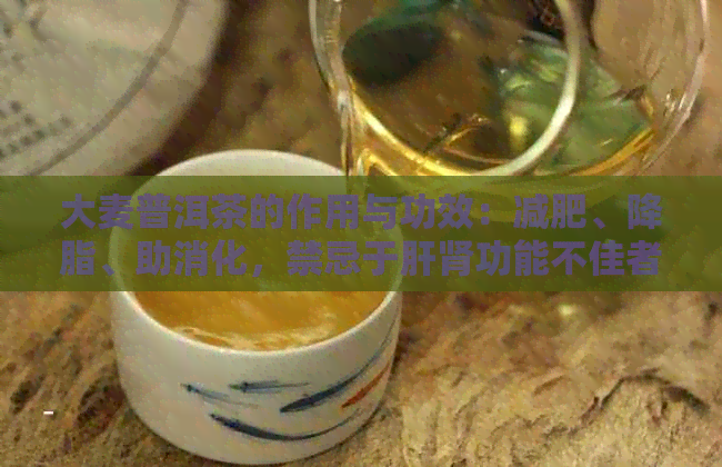 大麦普洱茶的作用与功效：减肥、降脂、助消化，禁忌于肝肾功能不佳者。