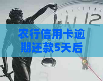 农行信用卡逾期还款5天后果：如何处理、影响信用评分及解决方案全面解析