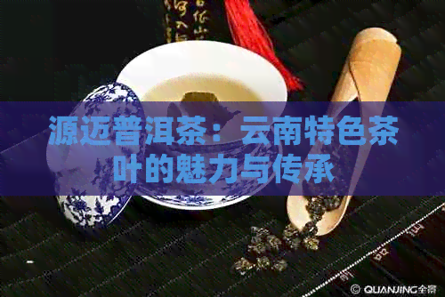 源迈普洱茶：云南特色茶叶的魅力与传承