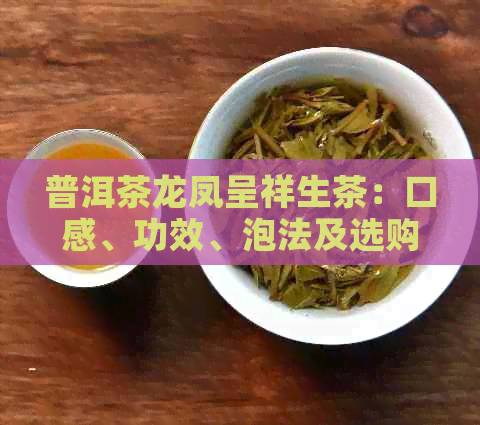 普洱茶龙凤呈祥生茶：口感、功效、泡法及选购指南，一次解决您的所有疑问！