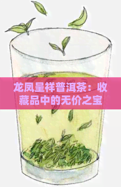 龙凤呈祥普洱茶：收藏品中的无价之宝