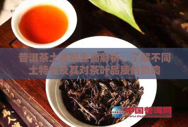 普洱茶土类型全面解析：了解不同土特性及其对茶叶品质的影响