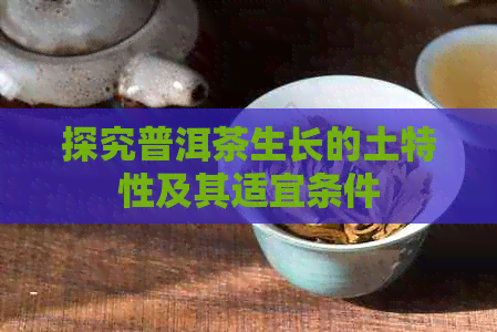 探究普洱茶生长的土特性及其适宜条件