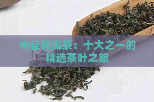 中硅普洱茶：十大之一的精选茶叶之旅