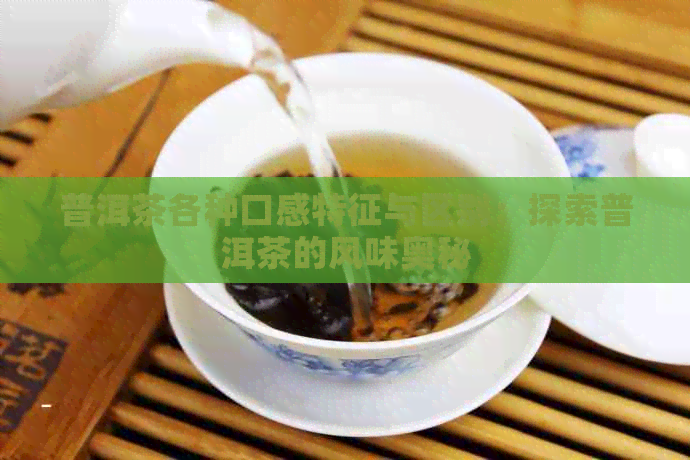 普洱茶各种口感特征与区别：探索普洱茶的风味奥秘