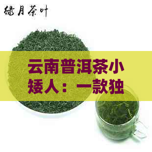 云南普洱茶小矮人：一款独特的茶类及其制作工艺解析