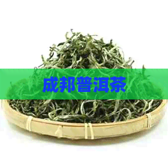 成邦普洱茶