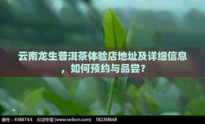 云南龙生普洱茶体验店地址及详细信息，如何预约与品尝？