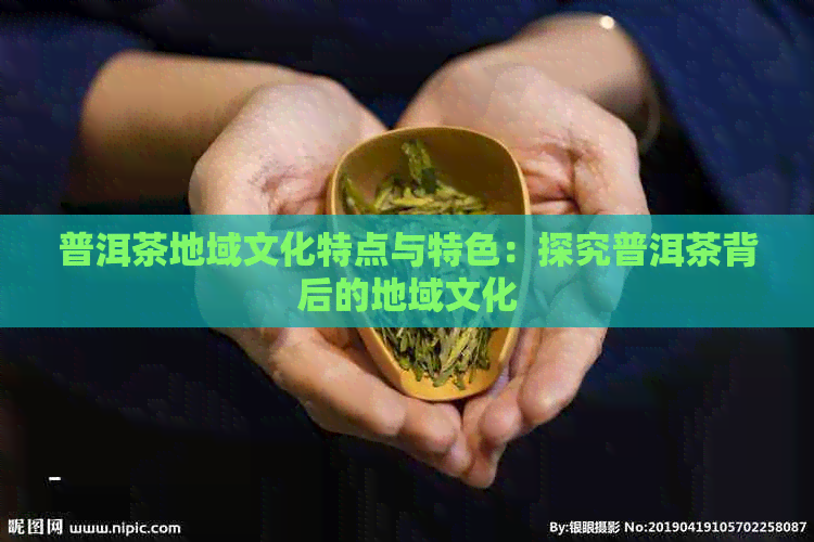 普洱茶地域文化特点与特色：探究普洱茶背后的地域文化