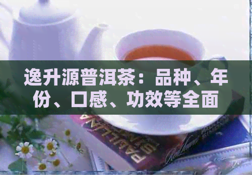 逸升源普洱茶：品种、年份、口感、功效等全面解析与购买指南