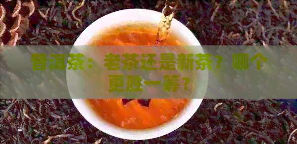 普洱茶：老茶还是新茶？哪个更胜一筹？