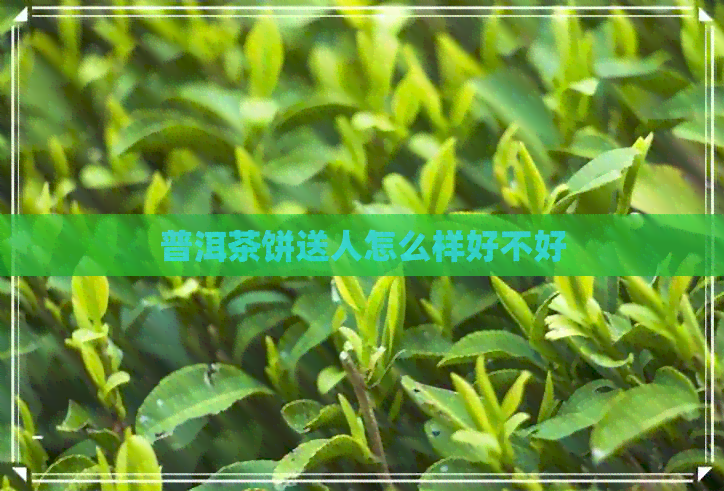 普洱茶饼送人怎么样好不好