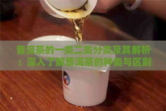 普洱茶的一类二类分类及其解析：深入了解普洱茶的种类与区别