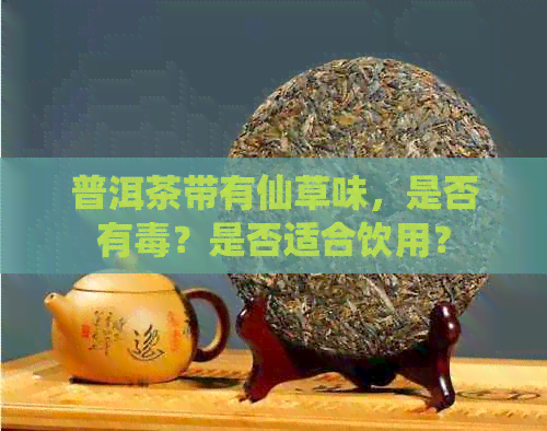 普洱茶带有仙草味，是否有？是否适合饮用？