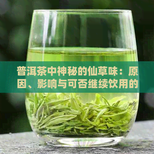 普洱茶中神秘的仙草味：原因、影响与可否继续饮用的全面解析