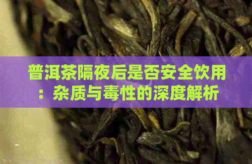 普洱茶隔夜后是否安全饮用：杂质与性的深度解析