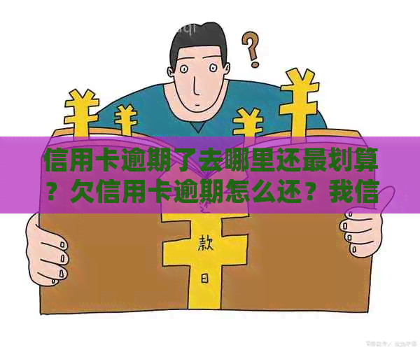 信用卡逾期了去哪里还最划算？欠信用卡逾期怎么还？我信用卡逾期了怎么办？