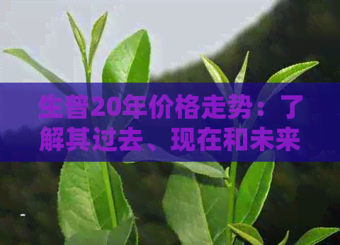 生普20年价格走势：了解其过去、现在和未来的影响因素与市场动态