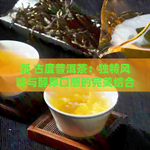 新 古度普洱茶：独特风味与醇厚口感的完美结合，是否值得一试？