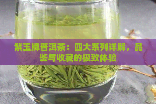 紫玉牌普洱茶：四大系列详解，品鉴与收藏的极致体验