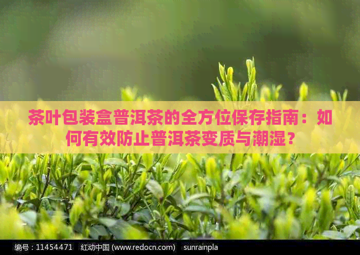 茶叶包装盒普洱茶的全方位保存指南：如何有效防止普洱茶变质与潮湿？