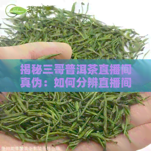 揭秘三哥普洱茶直播间真伪：如何分辨直播间的真实性与可信度？