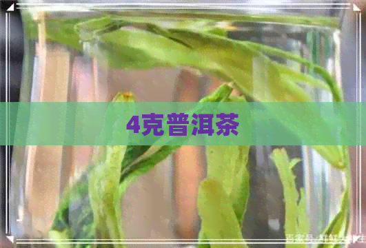 4克普洱茶