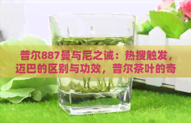 普尔887曼与尼之诫：热搜触发，迈巴的区别与功效，普尔茶叶的奇妙之处