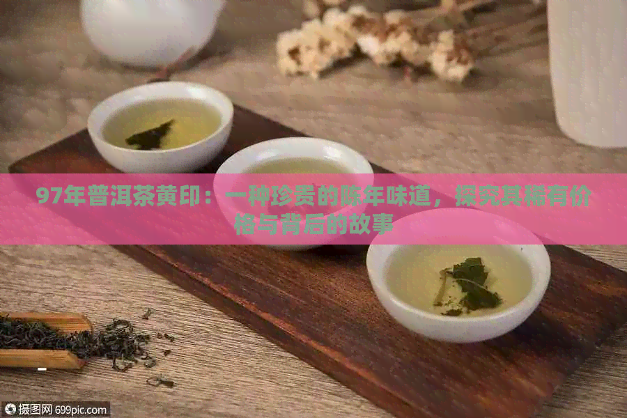 97年普洱茶黄印：一种珍贵的陈年味道，探究其稀有价格与背后的故事