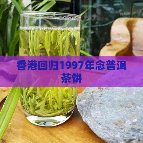 回归1997年念普洱茶饼