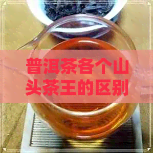 普洱茶各个山头茶王的区别