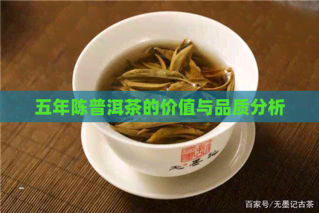 五年陈普洱茶的价值与品质分析