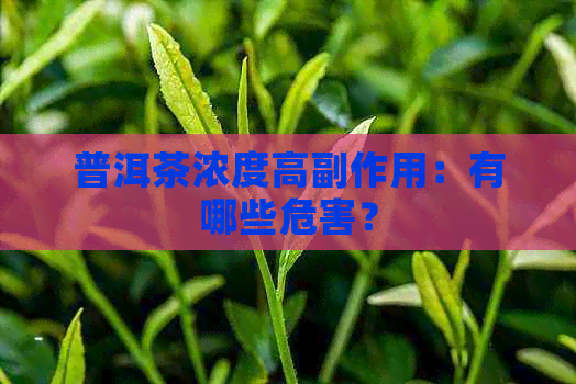 普洱茶浓度高副作用：有哪些危害？