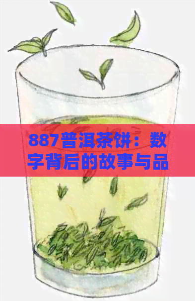 887普洱茶饼：数字背后的故事与品鉴指南