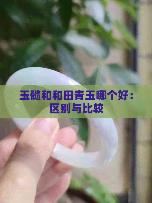 玉髓和和田青玉哪个好：区别与比较