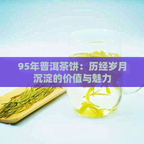 95年普洱茶饼：历经岁月沉淀的价值与魅力