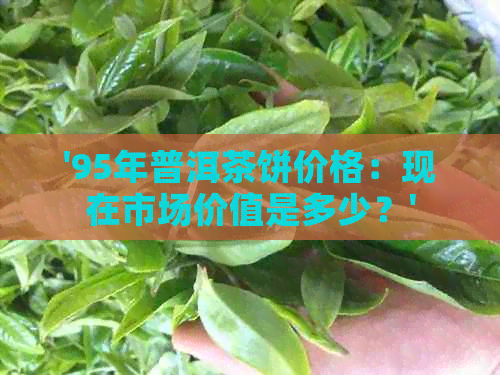 '95年普洱茶饼价格：现在市场价值是多少？'