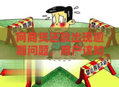 网商贷还款出现逾期问题，用户该如何解决？