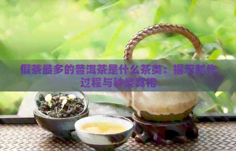 假茶最多的普洱茶是什么茶类：揭示制作过程与种类真相