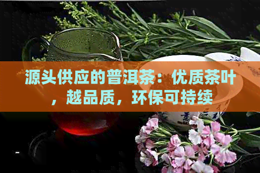 源头供应的普洱茶：优质茶叶，越品质，环保可持续