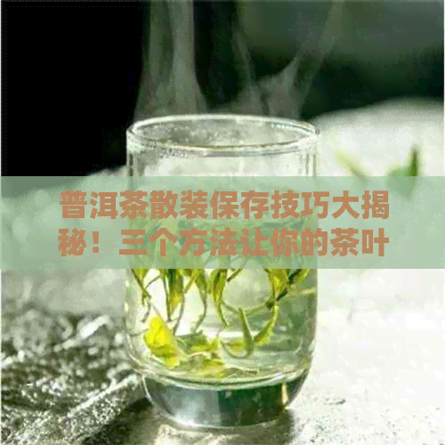 普洱茶散装保存技巧大揭秘！三个方法让你的茶叶更持久