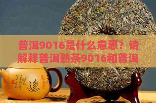 普洱9016是什么意思？请解释普洱熟茶9016和普洱茶9062的含义。