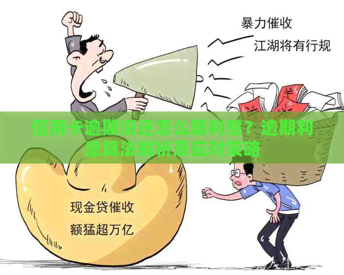 信用卡逾期没还怎么算利息？逾期利息算法解析及应对策略