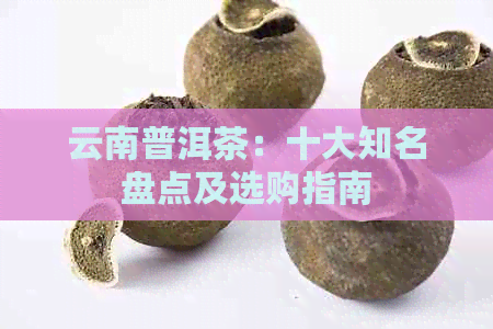 云南普洱茶：十大知名盘点及选购指南