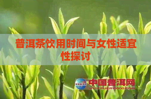 普洱茶饮用时间与女性适宜性探讨