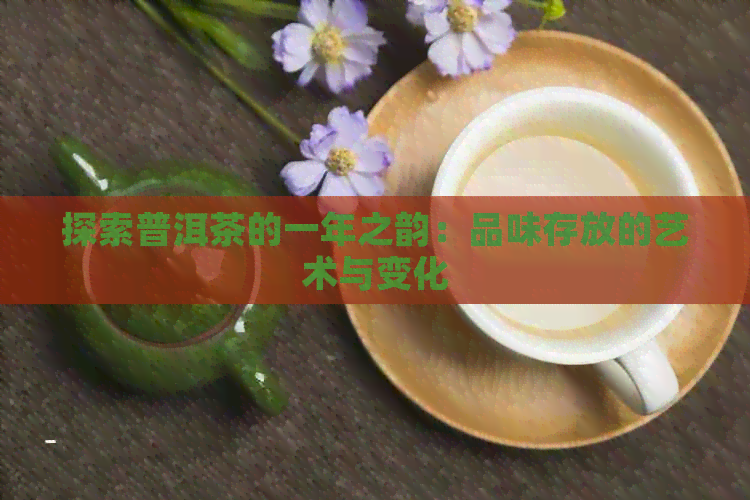 探索普洱茶的一年之韵：品味存放的艺术与变化